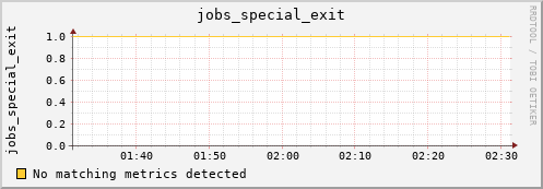 nix01 jobs_special_exit